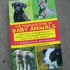 The Complete Care of Baby Animals: Expert Advice on Raising Orphaned, Adopted, or Newly Bought Kittens, Puppies, Foals, Lambs, Chicks, and More