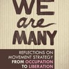 We Are Many: Reflections on Movement Strategy from Occupation to Liberation