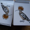 Hoopoe Bird notebook (blank, coil-bound)