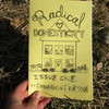 Radical Domesticity Issue One