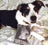 Locust House: A Novella