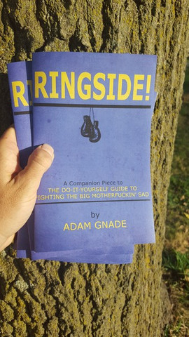 Ringside! A Companion Piece to The Do-It-Yourself Guide to Fighting the Big Motherfuckin' Sad