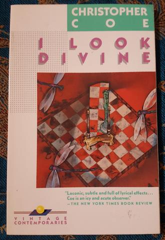 I Look Divine (Used)