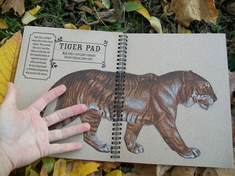 Large-size Eberhardt Press tiger sketchbooks!