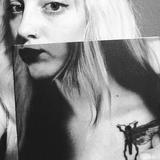 Locust House: A Novella