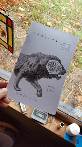 Analog: Dispatches on DIY Anorexia Recovery, issue two