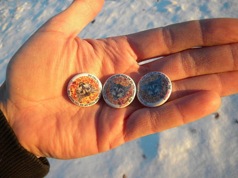 Do You Want Kittens and Pizza or Do You Want the Truth? button