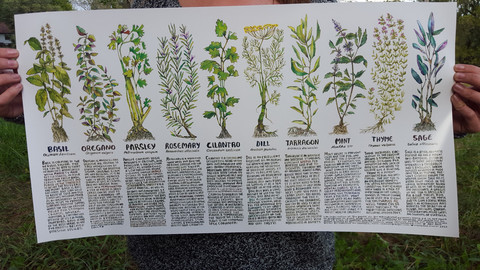 Kitchen Medicine Poster